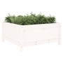 Jardinera madera maciza de pino blanco 82,5x82,5x39 cm de vidaXL, Maceteros y jardineras - Ref: Foro24-825297, Precio: 86,64 ...