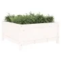 Jardinera madera maciza de pino blanco 82,5x82,5x39 cm de vidaXL, Maceteros y jardineras - Ref: Foro24-825297, Precio: 77,19 ...