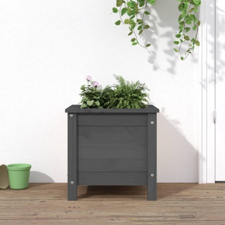 Jardinera madera maciza de pino gris 40x40x39 cm de vidaXL, Maceteros y jardineras - Ref: Foro24-825249, Precio: 52,61 €, Des...
