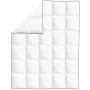 Edredón de plumón de invierno 2 unidades 150x200 cm de vidaXL, Colchas y edredones - Ref: Foro24-132888, Precio: 64,81 €, Des...