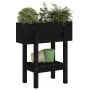 Jardinera madera maciza de pino negro 62x30x69 cm de vidaXL, Maceteros y jardineras - Ref: Foro24-825237, Precio: 55,94 €, De...