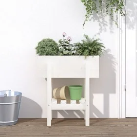 Jardinera madera maciza de pino blanco 62x30x69 cm de vidaXL, Maceteros y jardineras - Ref: Foro24-825234, Precio: 57,70 €, D...