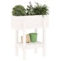 Jardinera madera maciza de pino blanco 62x30x69 cm de vidaXL, Maceteros y jardineras - Ref: Foro24-825234, Precio: 58,48 €, D...
