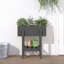 Jardinera madera maciza de pino gris 62x30x69 cm de vidaXL, Maceteros y jardineras - Ref: Foro24-825235, Precio: 59,31 €, Des...