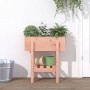 Jardinera madera maciza de abeto Douglas 62x30x69 cm de vidaXL, Maceteros y jardineras - Ref: Foro24-825238, Precio: 52,38 €,...