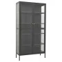 Vitrina de acero y vidrio templado gris antracita 90x40x180 cm de vidaXL, Taquillas y armarios de almacenamiento - Ref: Foro2...