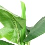 Árbol bananero artificial con macetero 300 cm verde de vidaXL, Flora artificial - Ref: Foro24-336315, Precio: 233,53 €, Descu...