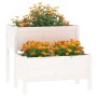Jardinera madera maciza de pino blanco 84,5x84x75 cm de vidaXL, Maceteros y jardineras - Ref: Foro24-822258, Precio: 98,00 €,...