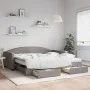 Sofá cama nido con cajones tela gris taupe 100x200 cm de vidaXL, Camas y somieres - Ref: Foro24-3197250, Precio: 475,81 €, De...