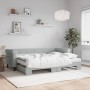 Sofá cama nido con colchón terciopelo gris claro 80x200 cm de vidaXL, Camas y somieres - Ref: Foro24-3197788, Precio: 420,02 ...