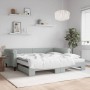 Sofá cama nido con colchón terciopelo gris claro 100x200 cm de vidaXL, Camas y somieres - Ref: Foro24-3197802, Precio: 438,88...