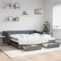 Sofá cama nido con cajones tela gris oscuro 100x200 cm de vidaXL, Camas y somieres - Ref: Foro24-3197486, Precio: 472,66 €, D...