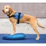 FitPAWS Pet Balance Disc Blue 36 cm by FitPAWS, Pet Exercise Equipment - Ref: Foro24-433818, Price: 44,29 €, Discount: %