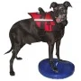 FitPAWS Pet Balance Disc Blue 36 cm by FitPAWS, Pet Exercise Equipment - Ref: Foro24-433818, Price: 44,29 €, Discount: %