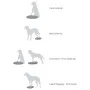 FitPAWS Pet Balance Disc Blue 36 cm by FitPAWS, Pet Exercise Equipment - Ref: Foro24-433818, Price: 44,29 €, Discount: %
