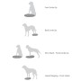 FitPAWS Disco de equilibrio para mascotas color frutos rojos 36 cm de FitPAWS, Equipos para el ejercicio de mascotas - Ref: F...