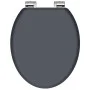 SCHÜTTE Asiento de inodoro con cierre suave SPIRIT ATHRAZIT gris mate de SCHÜTTE, Asientos de inodoros y bidés - Ref: Foro24-...