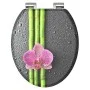 SCHÜTTE ASIA soft close toilet seat by SCHÜTTE, Toilet and bidet seats - Ref: Foro24-438742, Price: 53,66 €, Discount: %