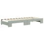 Sofá cama nido terciopelo gris claro 80x200 cm de vidaXL, Camas y somieres - Ref: Foro24-3197294, Precio: 248,64 €, Descuento: %