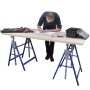 Set de 2 andamios de caballete de vidaXL, Andamiaje - Ref: Foro24-140099, Precio: 80,39 €, Descuento: %