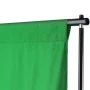 Sistema de soporte de telón fondo 500x300 cm verde de vidaXL, Fondos - Ref: Foro24-160069, Precio: 84,89 €, Descuento: %