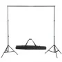 Sistema de soporte de telón fondo 300x300 cm verde de vidaXL, Fondos - Ref: Foro24-160066, Precio: 61,53 €, Descuento: %