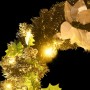 Corona de Navidad con luces LED verde 60 cm PVC de vidaXL, Luces de Navidad - Ref: Foro24-321518, Precio: 20,50 €, Descuento: %