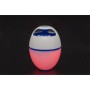 Bestway Altavoz flotante con LED y bluetooth de Bestway, Altavoces - Ref: Foro24-3202714, Precio: 69,73 €, Descuento: %