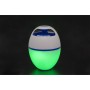 Bestway Altavoz flotante con LED y bluetooth de Bestway, Altavoces - Ref: Foro24-3202714, Precio: 69,73 €, Descuento: %