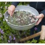 Nature Tamiz de jardín malla 12 mm Ø37 cm de Nature, Jardinería - Ref: Foro24-446383, Precio: 29,46 €, Descuento: %