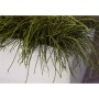 Capi Jardinera rectangular Arc Granite marfil 60x35x40 cm de Capi, Maceteros y jardineras - Ref: Foro24-442113, Precio: 132,6...