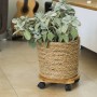 Nature Soporte con ruedas para plantas redondo BPC marrón Ø30 cm de Nature, Soportes para macetas - Ref: Foro24-446403, Preci...