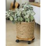 Nature Soporte con ruedas para plantas redondo BPC marrón Ø30 cm de Nature, Soportes para macetas - Ref: Foro24-446403, Preci...