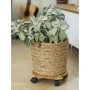 Nature Soporte con ruedas para plantas redondo BPC marrón Ø30 cm de Nature, Soportes para macetas - Ref: Foro24-446403, Preci...