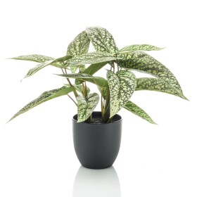 Emerald Calathea artificial Dots en maceta 38 cm de Emerald, Flora artificial - Ref: Foro24-444639, Precio: 37,57 €, Descuent...
