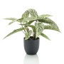 Emerald Calathea artificial Dots en maceta 38 cm de Emerald, Flora artificial - Ref: Foro24-444639, Precio: 37,57 €, Descuent...