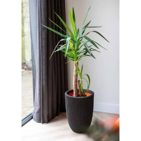 Capi Jarrón elegante Groove negro 46x58 cm de Capi, Maceteros y jardineras - Ref: Foro24-445497, Precio: 153,48 €, Descuento: %