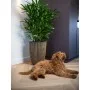 Capi Jarrón elegante Groove negro y dorado 46x58 cm de Capi, Maceteros y jardineras - Ref: Foro24-445495, Precio: 167,80 €, D...