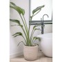 Capi Macetero Waste Rib beige terrazo 35x34 cm de Capi, Maceteros y jardineras - Ref: Foro24-445480, Precio: 63,39 €, Descuen...