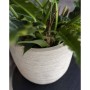 Capi Macetero Waste Rib beige terrazo 43x41 cm de Capi, Maceteros y jardineras - Ref: Foro24-445481, Precio: 87,13 €, Descuen...