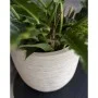 Capi Macetero Waste Rib beige terrazo 43x41 cm de Capi, Maceteros y jardineras - Ref: Foro24-445481, Precio: 87,30 €, Descuen...