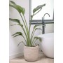 Capi Macetero Waste Rib beige terrazo 43x41 cm de Capi, Maceteros y jardineras - Ref: Foro24-445481, Precio: 87,13 €, Descuen...