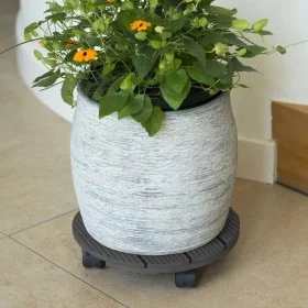 Nature Soporte con ruedas para plantas redondo madera gris Ø30 cm de Nature, Soportes para macetas - Ref: Foro24-446401, Prec...