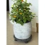 Nature Soporte con ruedas para plantas redondo madera gris Ø30 cm de Nature, Soportes para macetas - Ref: Foro24-446401, Prec...