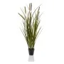 Emerald Künstliches Rohrkolbengras im Topf 85 cm von Emerald, Künstliche Flora - Ref: Foro24-444650, Preis: 40,28 €, Rabatt: %