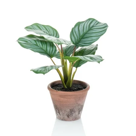 Emerald Calathea Orbifolia artificial Terra en maceta 32 cm de Emerald, Flora artificial - Ref: Foro24-444641, Precio: 20,61 ...