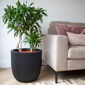 Capi Maceta Groove negro 35x34 cm de Capi, Maceteros y jardineras - Ref: Foro24-445488, Precio: 63,84 €, Descuento: %
