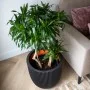Capi Maceta Groove negro 35x34 cm de Capi, Maceteros y jardineras - Ref: Foro24-445488, Precio: 63,84 €, Descuento: %