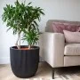 Capi Groove Blumentopf schwarz 43x41 cm von Capi, Töpfe und Pflanzgefäße - Ref: Foro24-445489, Preis: 96,45 €, Rabatt: %