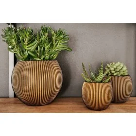 Capi Juego de jarrones redondos Groove 3 piezas dorado de Capi, Maceteros y jardineras - Ref: Foro24-445502, Precio: 38,20 €,...